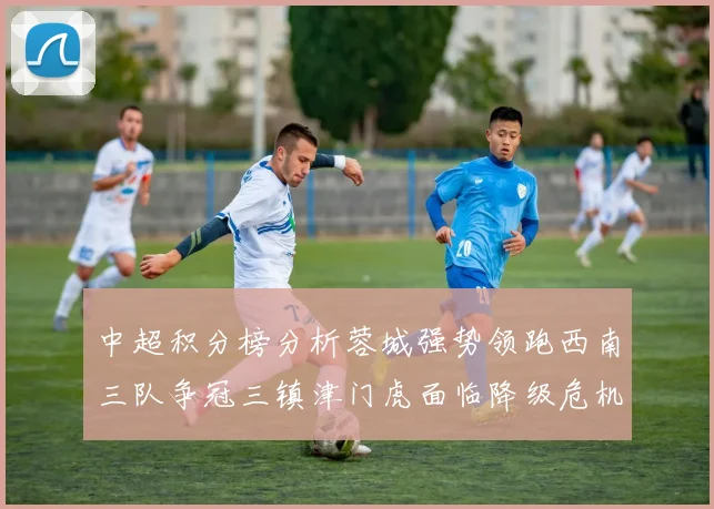中超积分榜分析蓉城强势领跑西南三队争冠三镇津门虎面临降级危机