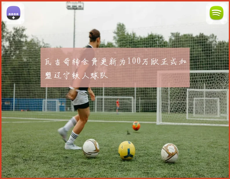 瓦吉奇转会费更新为100万欧正式加盟辽宁铁人球队
