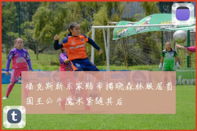 福克斯新东家赔率揭晓森林狼居首国王公牛魔术紧随其后